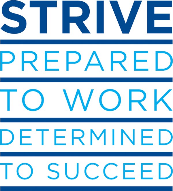 Strive Silo C V2
